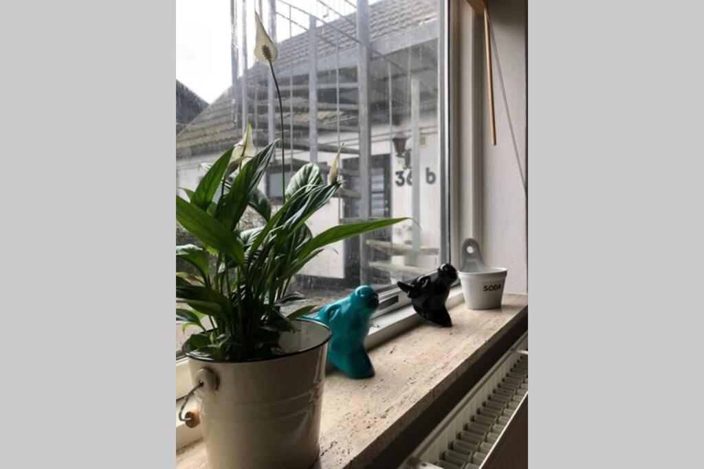 Appleflower Farm Retro Apartment Lillerod Dış mekan fotoğraf