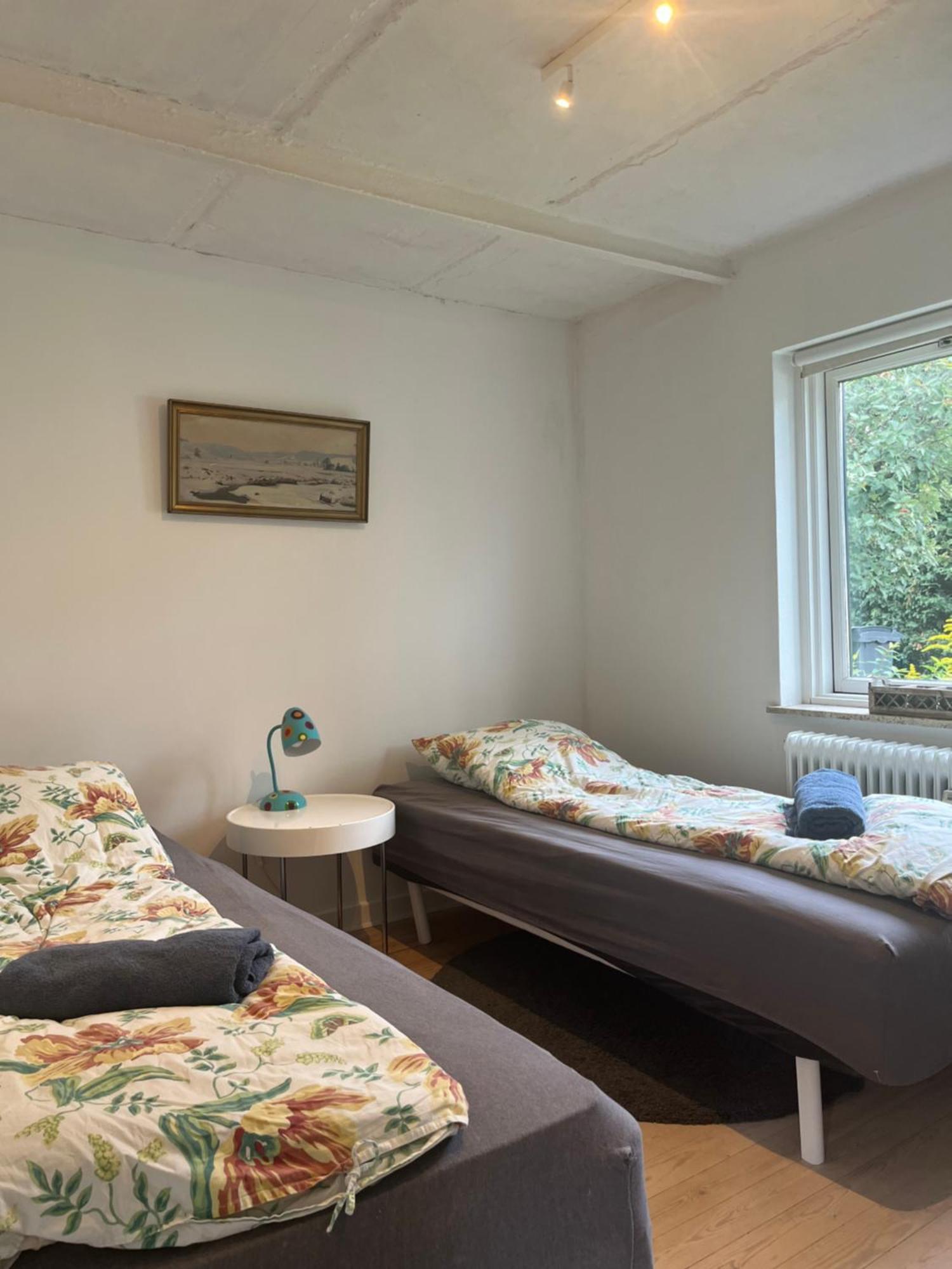 Appleflower Farm Retro Apartment Lillerod Dış mekan fotoğraf
